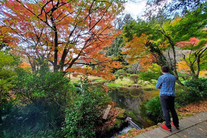 Walking through the Aso Caldera, Historical Walk along the "Bungo Kaido" - Price and Value: What You’re Really Paying For