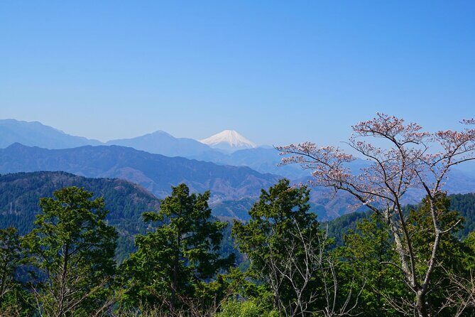 Walking Tour Mount Takao : Nature and Tradition in Tokyo - Takaosan Yakuo-in Yuki-ji Temple: Tradition With a Specific 744 AD Timeline