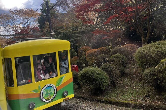 Walking Tour Mount Takao : Nature and Tradition in Tokyo - Price and Value: What $165.13 Covers (and Why It Might Be Worth It)