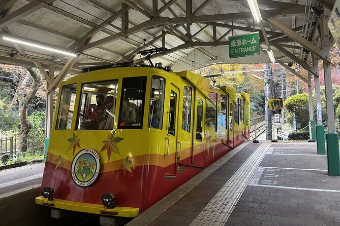 Walking Tour Mount Takao : Nature and Tradition in Tokyo - Who This Walking Tour Suits Best (and Who Might Skip It)