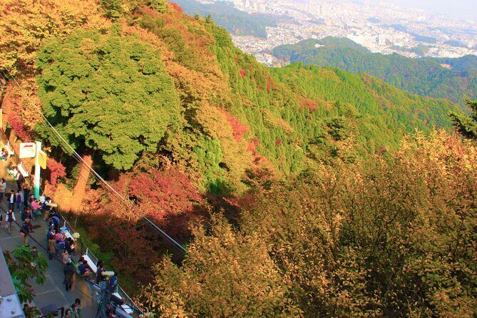 Walking Tour Mount Takao : Nature and Tradition in Tokyo - Practical Tips for Getting More Out of the Day