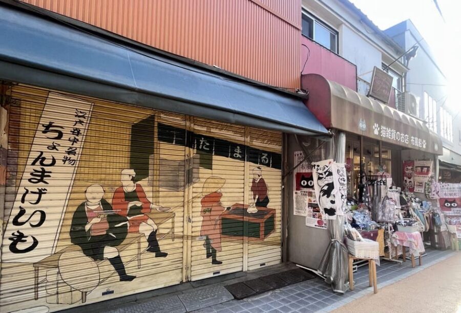 Walking Tour: Yanaka,Nezu& Sendagi: Tea Ceremony & Old Tokyo - Meeting at Nippori West Exit at 10:30: the easy start that matters