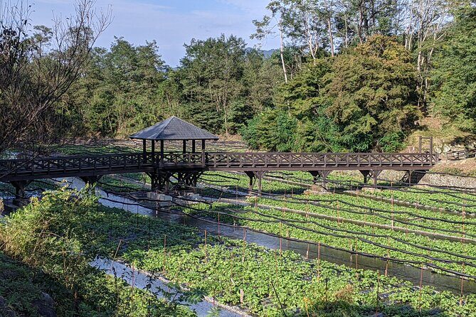 Wasabi Farm Walking Tour & Lunch - Why Nagano’s wasabi farm tour is worth your time