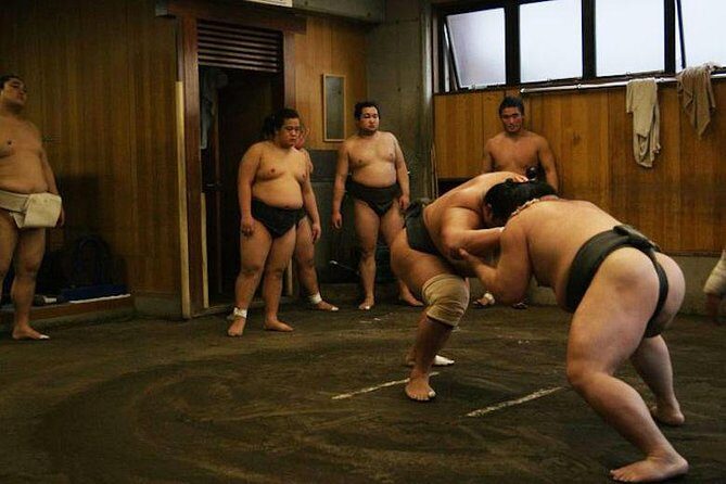 Watch Sumo Morning Practice at Stable in Tokyo - The Schedule Reality: 60 to 90 Minutes Means Plan Like a Pro