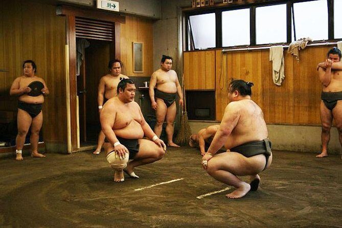 Watch Sumo Morning Practice at Stable in Tokyo - Inside the Stable: What You’ll Actually Watch (Warmups to Sparring)