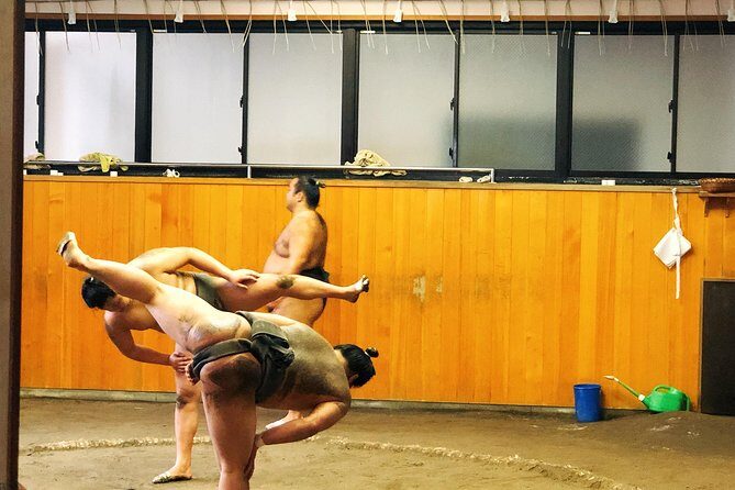 Watch Sumo Morning Practice at Stable in Tokyo - Viewing Tips: How to Get a Better Line of Sight