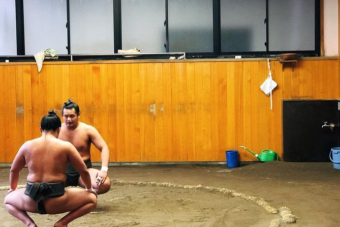 Watch Sumo Morning Practice at Stable in Tokyo - Price and Value: Is $95.77 a Fair Trade for Early Mornings?