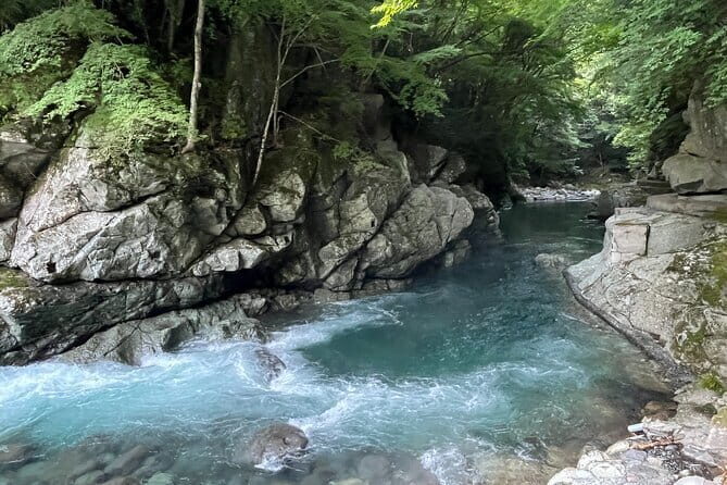 West IZU Uncovered Tour Cave Cruise and Monkey Encounter - Dogashima Cave Cruise: Sunlight, Dark Rock, and Sea-Air Reality