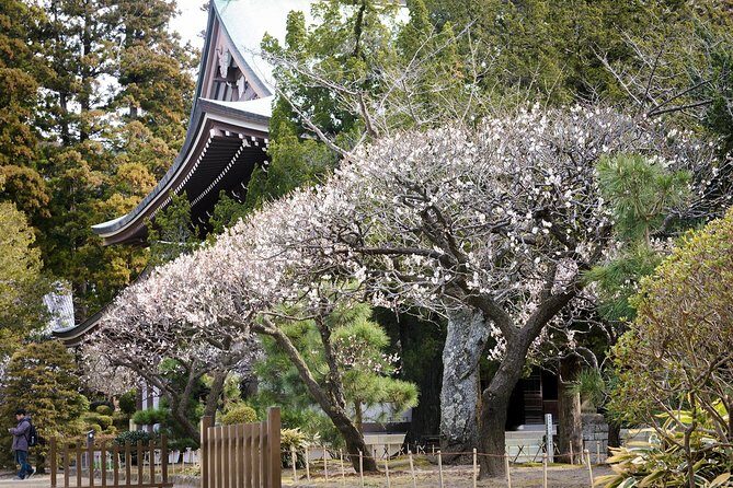 When Emperors Reigned and Shoguns Ruled - Stop 4: Kotoku-in Great Buddha (Budget the Entrance Fee)