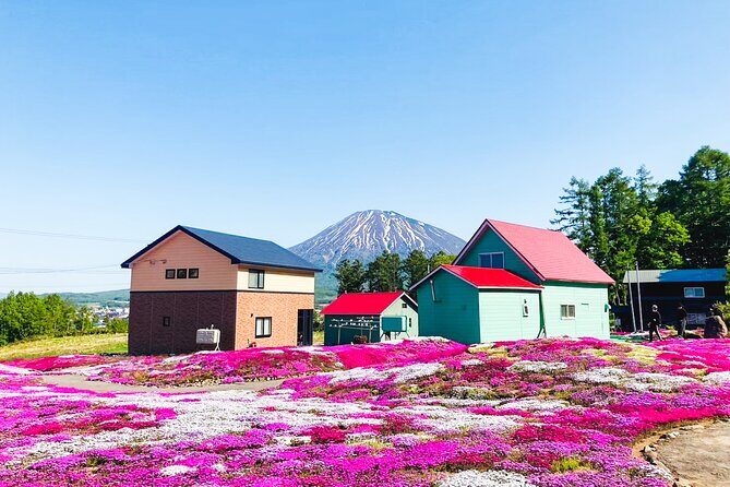 Wherever you want! 1-Day Private Tour from Sapporo to Furano more - Building your day: how the customization usually feels