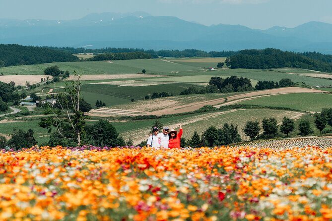 Wherever you want! 1-Day Private Tour from Sapporo to Furano more - Furano (about 2 hours): flowers are the headline, timing is everything