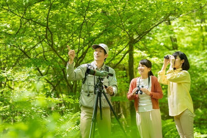 Wild Bird Sanctuary Forest Guided Tour in Nagano - Key points before you go