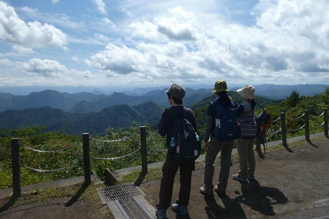 Wild Bird Sanctuary Forest Guided Tour in Nagano - Pacing and group size: why it can feel slow or perfect