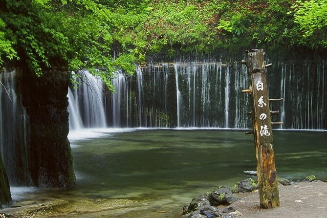 Wild Bird Sanctuary Forest Guided Tour in Nagano - Price and value: $16.42 for a guided sanctuary walk
