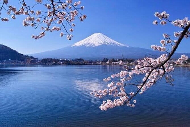 Winter Special: Clear View Mt. Fuji E-Bike Tour - Hounji fountain: a drink break with a calmer rhythm