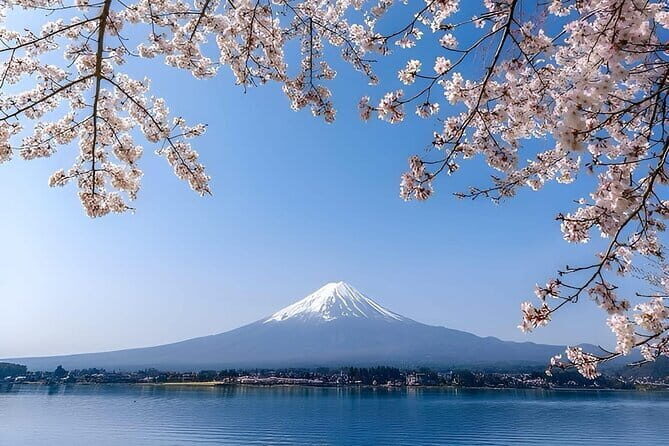 Wonderful Peaks & Peace: Mt. Fuji, Fuji Stupa & Hakone Tour - Key Points You’ll Feel Right Away
