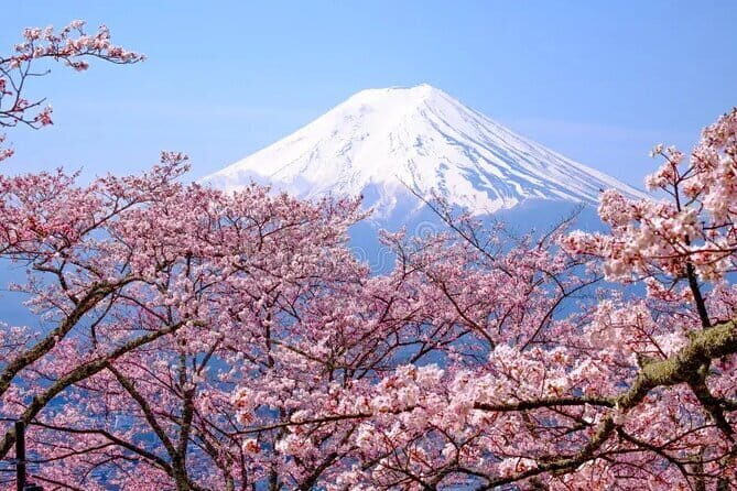 Wonderful Peaks & Peace: Mt. Fuji, Fuji Stupa & Hakone Tour - Mt. Fuji 5th Station: the 3,776-meter payoff (and the extra ticket)