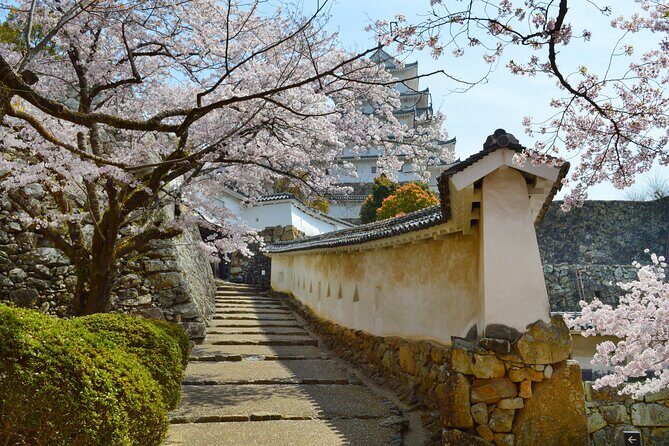 World Heritage Himeji Castle & Sake Breweries Private Tour - Nadagiku Shuzo brewery: exhibits first, then a real tasting session
