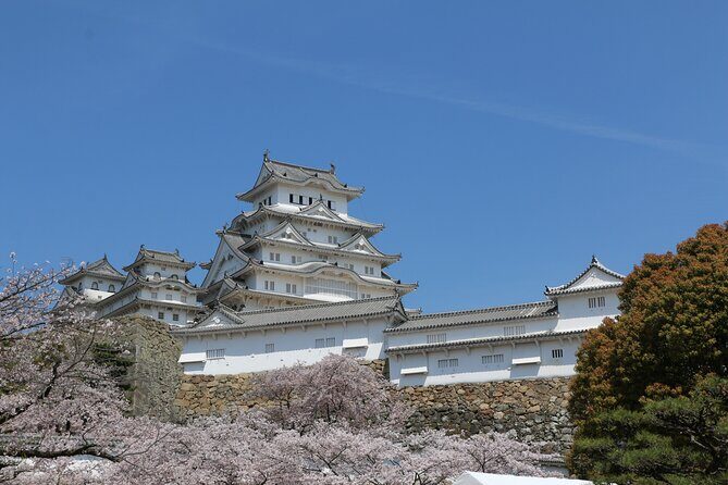 World Heritage Himeji Castle & Sake Breweries Private Tour - Guide quality: the difference between seeing and understanding