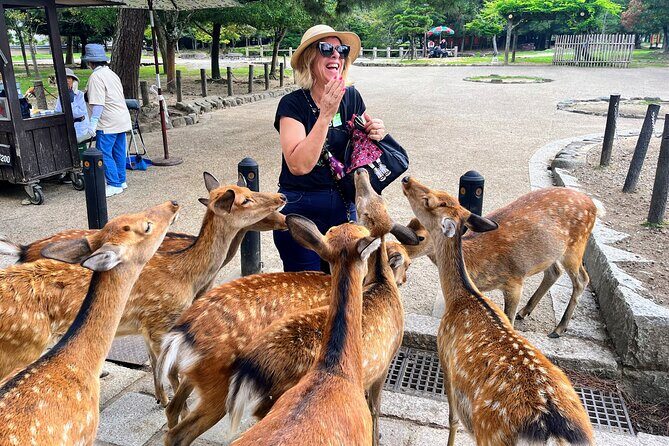 World Heritage Kyoto & Nara Uji Authentic Matcha Experience - Key highlights to know before you go