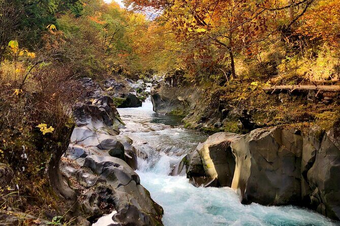 World Heritage Nikko Walking Tour Toshogu and Kanmangafuchi - Nikko Tōshō-gū: UNESCO splendor, shoe-off rules, and why the details matter