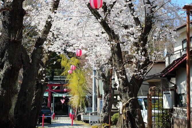 Yabusame Adventure with Mt. Fuji Views - Where Logistics Matter: Mobile Ticket, Public Transit, and How You’ll Finish