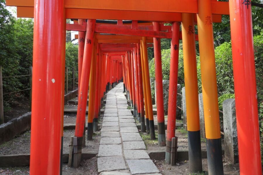 Yanaka District: Historical Walking Tour in Tokyo's Old Town - Entering Old Tokyo: Yanaka District starts at Nezu Station