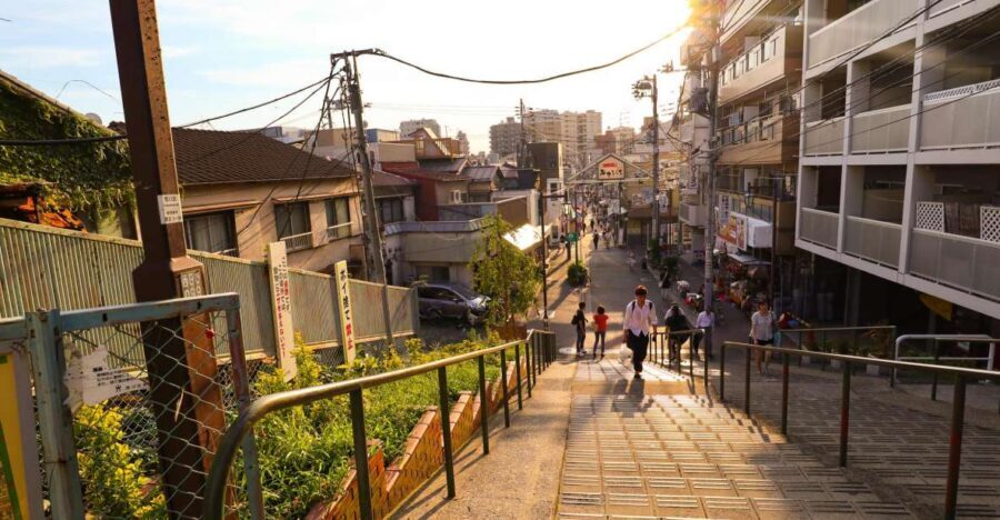 Yanaka District: Historical Walking Tour in Tokyo's Old Town - Hebimichi market time: local snack energy you can actually follow