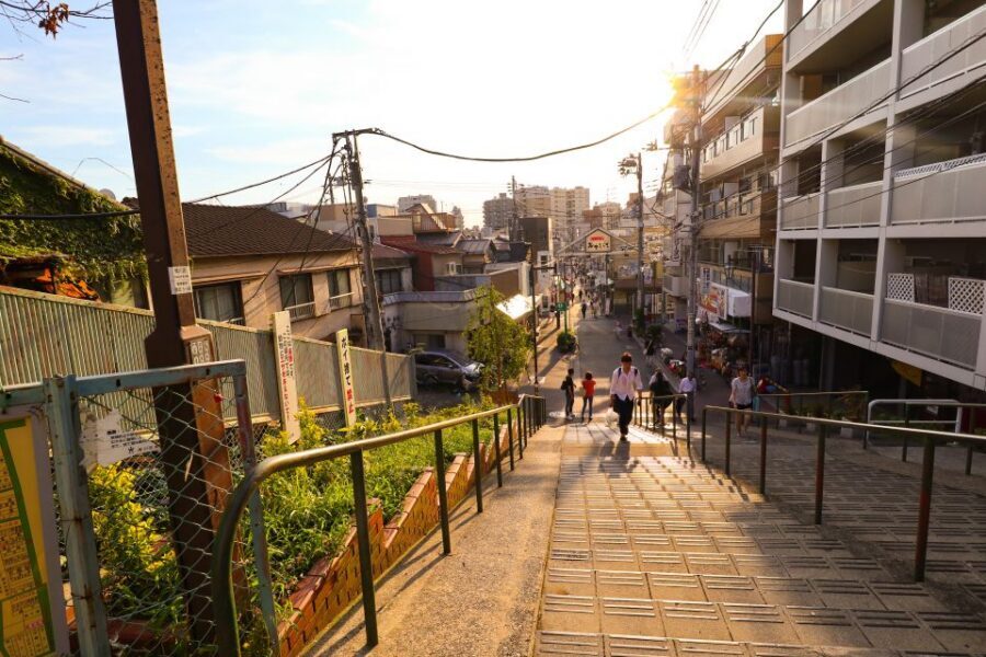 Yanaka District: Historical Walking Tour in Tokyo's Old Town - Nezu Shrine and the red torii photo run