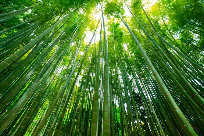 Yokohama and Kamakura Private Day Trip from Tokyo - Private Vehicle, English Chauffeur, and a Custom Pace