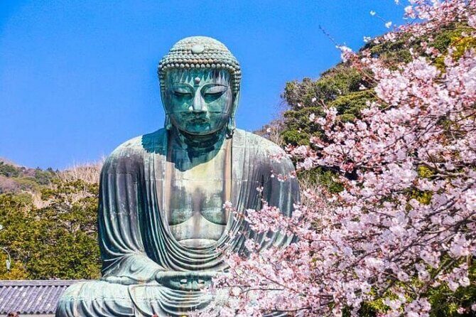 Yokohama and Kamakura Private Full Day Tour with English Guide - Key Highlights You’ll Feel On Day One