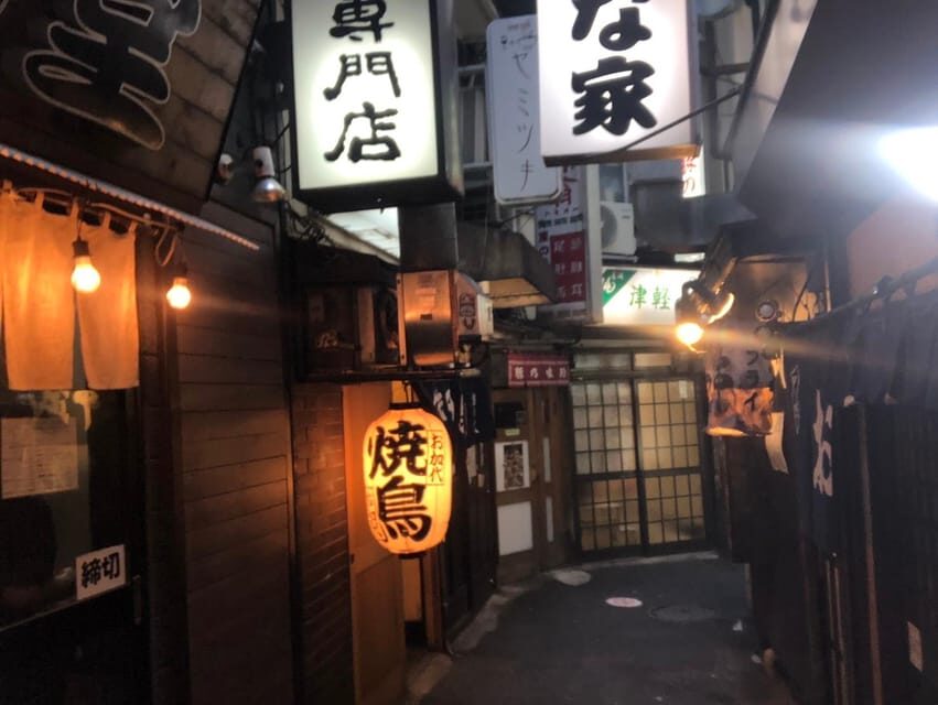 Yokohama Half Day Tour with a Local Expert Guide - Sakuragicho First Impression: The Starting Point That Makes the Day Click