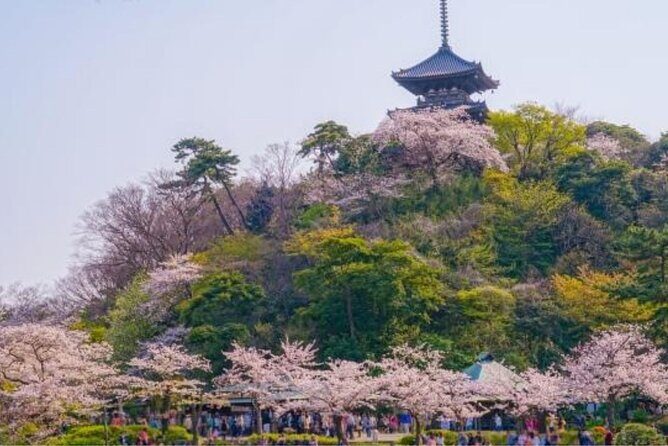 Yokohama Like a Local: Private & Personalized Experience 2,3 hrs - Elephant’s Nose Park: A Name With a Shape and a View