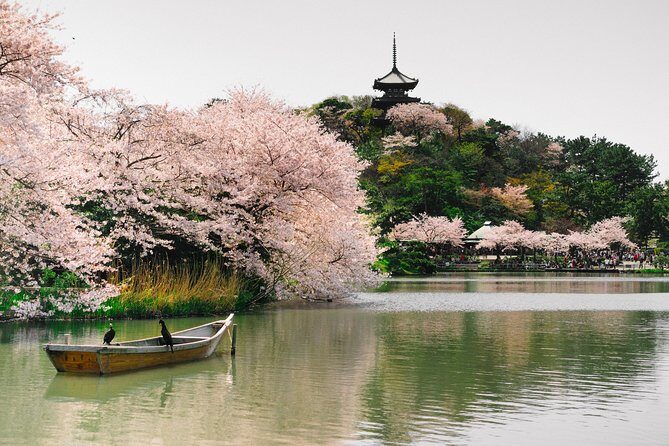 Yokohama Private Tour with a Local: Highlights & Hidden Gems - Price and Logistics: Is $76.58 Good Value?