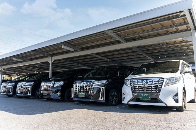 Yokohama Private Transfer: Tokyo City, Narita and Haneda Airport - Flight tracking and waiting times: how you avoid the panic window